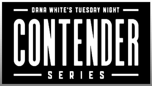 dana white contender series season 7