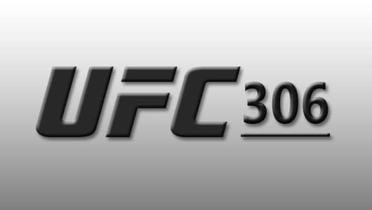 ufc 306